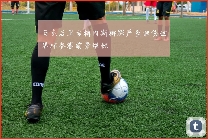 马竞后卫吉梅内斯脚踝严重扭伤世界杯参赛前景堪忧
