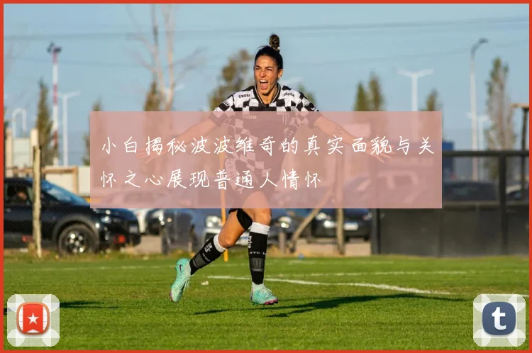 小白揭秘波波维奇的真实面貌与关怀之心展现普通人情怀