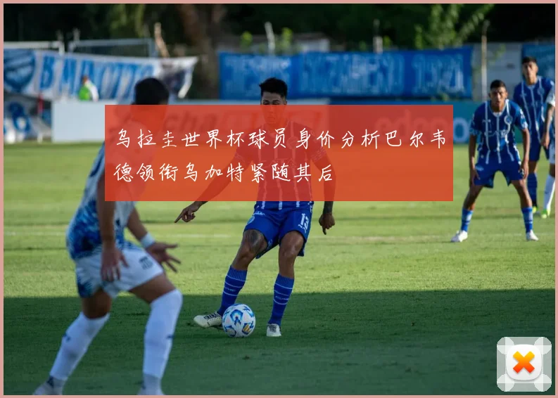 乌拉圭世界杯球员身价分析巴尔韦德领衔乌加特紧随其后